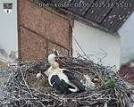 Capi_Dubne_20250508_145503.jpg