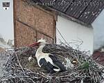 Capi_Dubne_20250508_150503.jpg