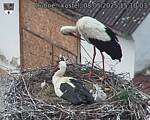 Capi_Dubne_20250508_151003.jpg