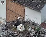 Capi_Dubne_20250508_152503.jpg