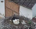 Capi_Dubne_20250508_153503.jpg