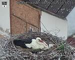 Capi_Dubne_20250508_155503.jpg
