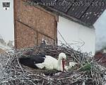 Capi_Dubne_20250508_162003.jpg
