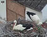 Capi_Dubne_20250508_163002.jpg