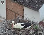 Capi_Dubne_20250508_163503.jpg