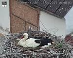 Capi_Dubne_20250508_164003.jpg