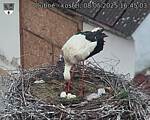 Capi_Dubne_20250508_164503.jpg