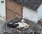 Capi_Dubne_20250508_165503.jpg