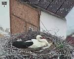 Capi_Dubne_20250508_170002.jpg