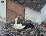 Capi_Dubne_20250508_171003.jpg