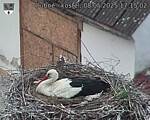 Capi_Dubne_20250508_171502.jpg