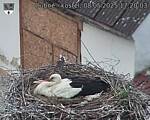 Capi_Dubne_20250508_172003.jpg