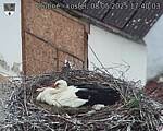 Capi_Dubne_20250508_174003.jpg