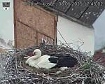 Capi_Dubne_20250508_174503.jpg