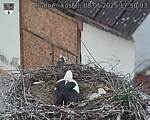 Capi_Dubne_20250508_175003.jpg