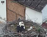 Capi_Dubne_20250508_180003.jpg