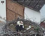 Capi_Dubne_20250508_180503.jpg