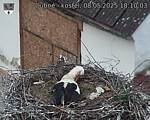 Capi_Dubne_20250508_181003.jpg