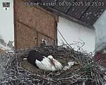 Capi_Dubne_20250508_182503.jpg
