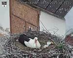 Capi_Dubne_20250508_183502.jpg