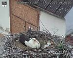 Capi_Dubne_20250508_192503.jpg