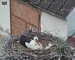 Capi_Dubne_20250508_193503.jpg