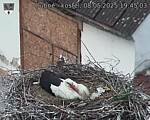 Capi_Dubne_20250508_194503.jpg