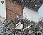 Capi_Dubne_20250508_200003.jpg
