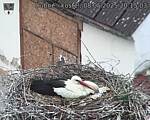 Capi_Dubne_20250508_201503.jpg
