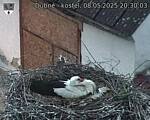 Capi_Dubne_20250508_203003.jpg
