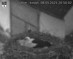 Capi_Dubne_20250508_205002.jpg