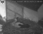 Capi_Dubne_20250508_210003.jpg