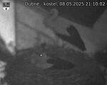 Capi_Dubne_20250508_211002.jpg