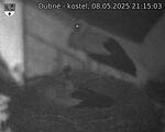 Capi_Dubne_20250508_211503.jpg