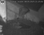 Capi_Dubne_20250508_212502.jpg