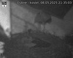 Capi_Dubne_20250508_213503.jpg