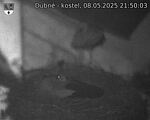Capi_Dubne_20250508_215003.jpg