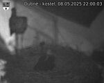 Capi_Dubne_20250508_220003.jpg