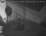 Capi_Dubne_20250508_221002.jpg