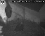 Capi_Dubne_20250508_221503.jpg