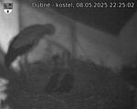 Capi_Dubne_20250508_222502.jpg