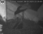 Capi_Dubne_20250508_223503.jpg