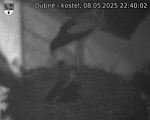 Capi_Dubne_20250508_224002.jpg