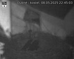 Capi_Dubne_20250508_224503.jpg
