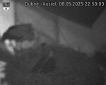 Capi_Dubne_20250508_225003.jpg