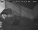 Capi_Dubne_20250508_230002.jpg