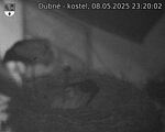 Capi_Dubne_20250508_232002.jpg