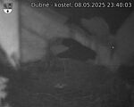 Capi_Dubne_20250508_234003.jpg