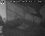 Capi_Dubne_20250508_234502.jpg