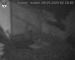 Capi_Dubne_20250509_021003.jpg